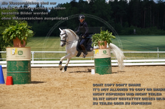 s_K3F06454.JPG